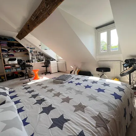 5 Mn A Pied Chateau Et Gare Rive Gauche Chateau Apartment